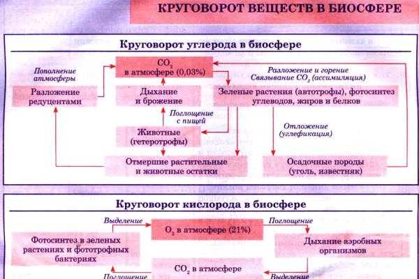 Black sprut не работает