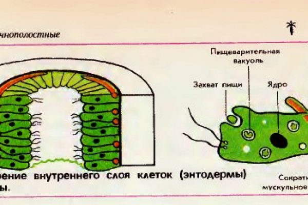 2 fa код blacksprut