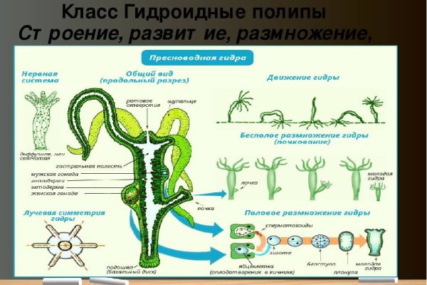 Сайт bs ru