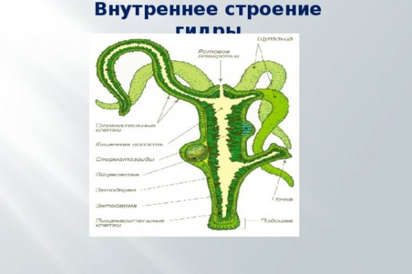 Как зайти на блэк спрут с айфона